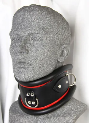Extreme Posture Collar